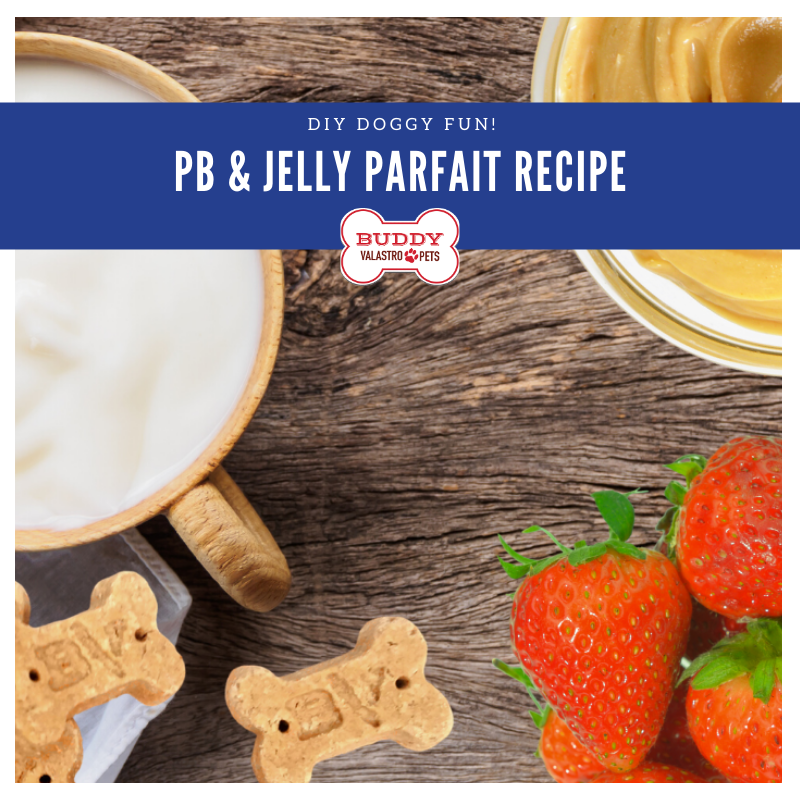 Best PB&J Parfait Recipe - How to Make PB&J Parfait